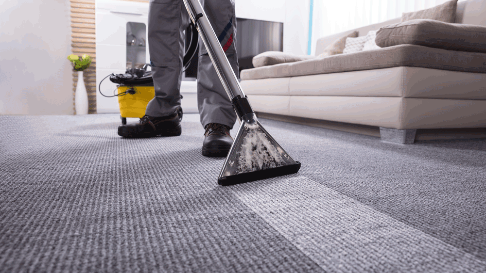 Carpet Cleaning adobestock 202431812